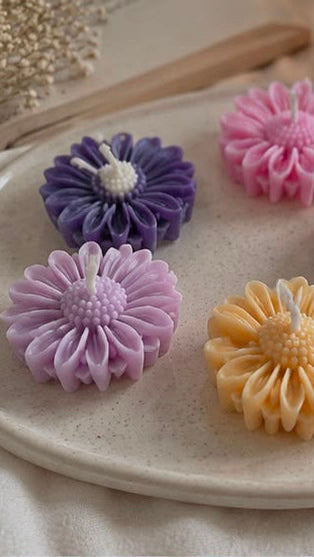 Daisy Bloom Glass Soy Wax Candle(set of 6)