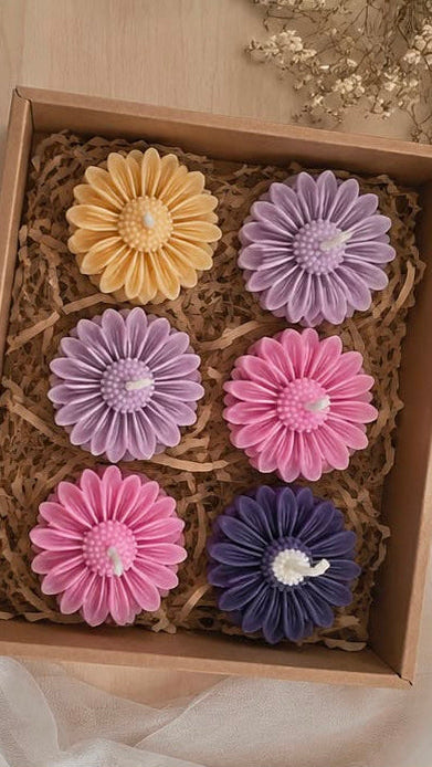 Daisy Bloom Glass Soy Wax Candle(set of 6)